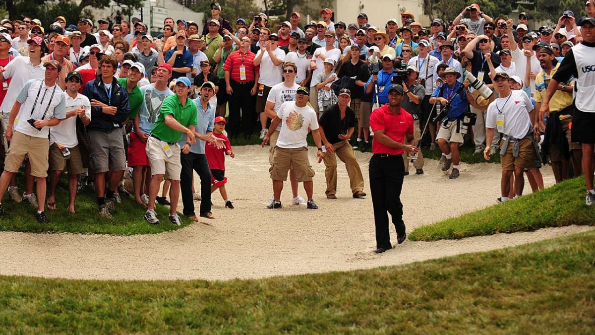 Tiger Woods wins the 2008 image