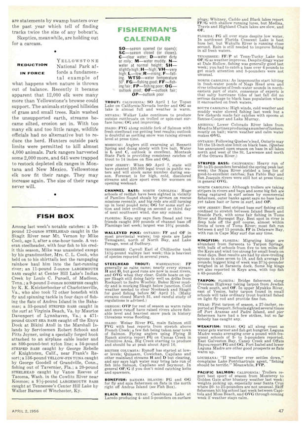 Sports Illustrated  April 2, 1956 at Wolfgang's