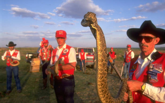 rattlesnake-derby.jpg