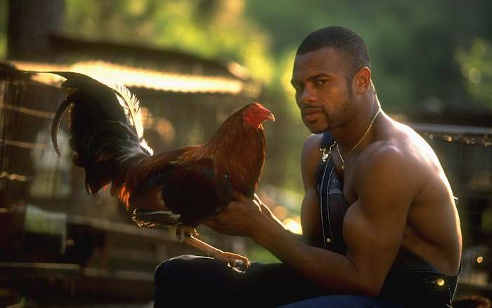 roy-jones-jr-one-tough-bird-si-vault.jpg