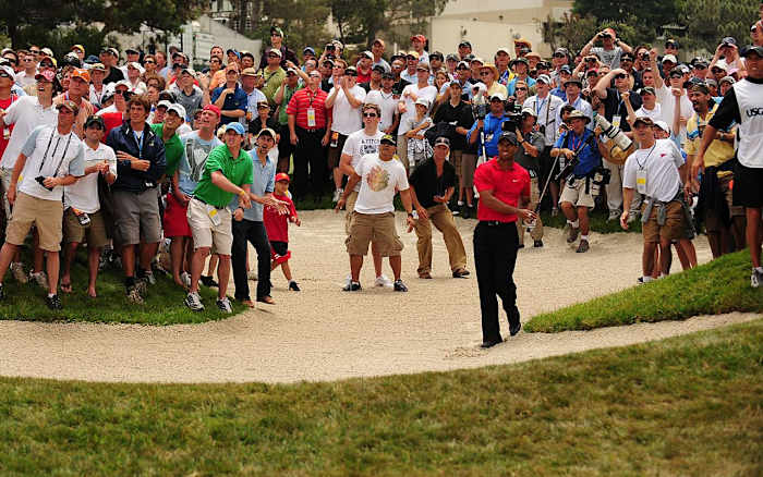 tiger-woods-vuich2.jpg