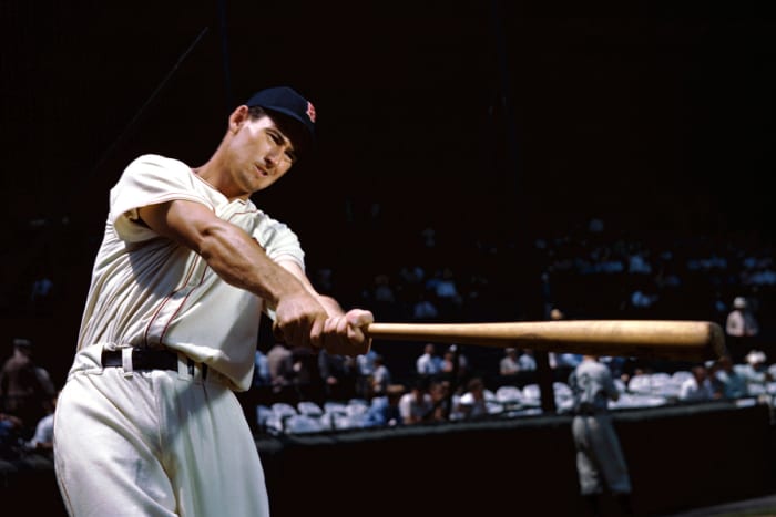 ted williams swing.jpg