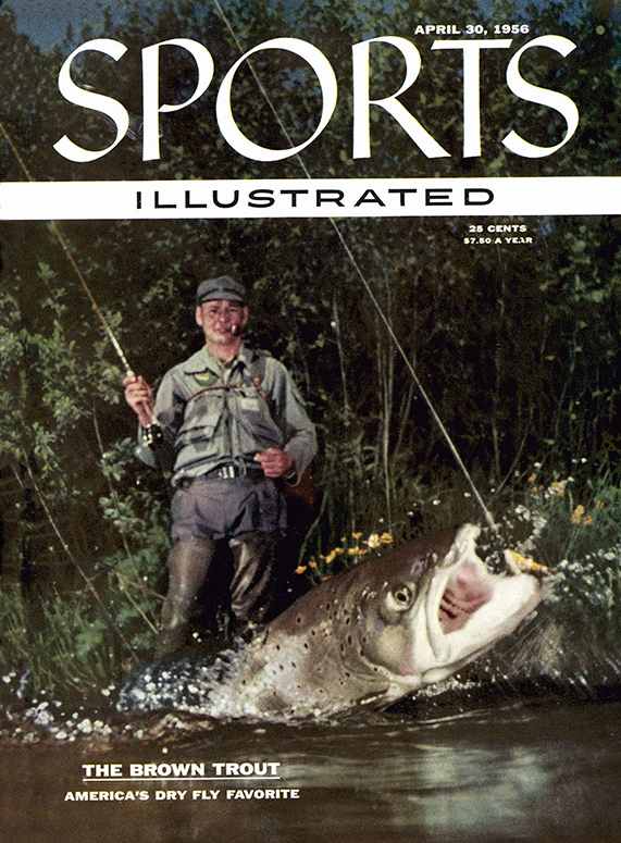 42444 - TOC Cover Image