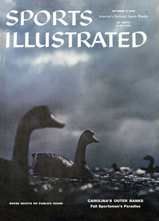 41428 - TOC Cover Image