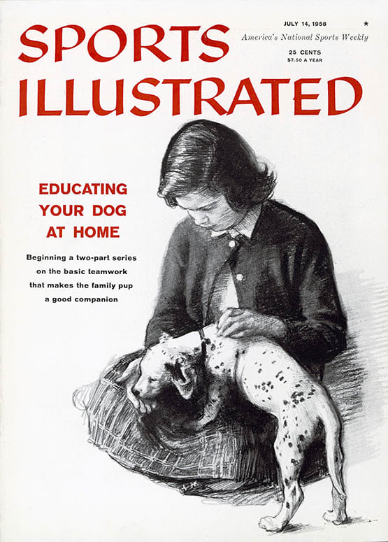 41239 - TOC Cover Image