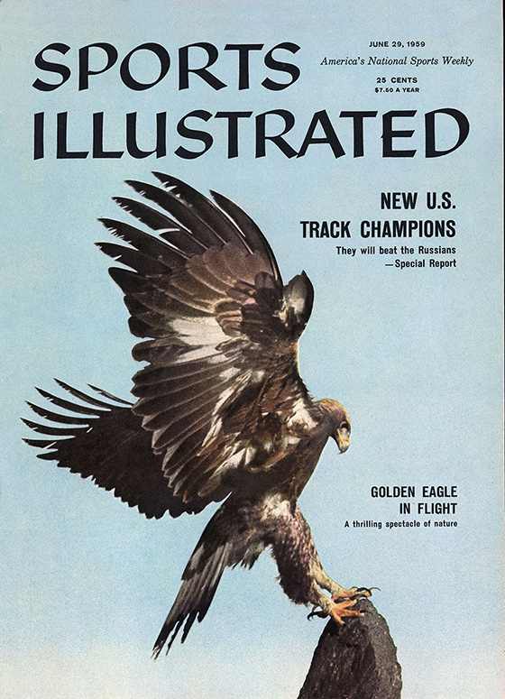 42706 - TOC Cover Image