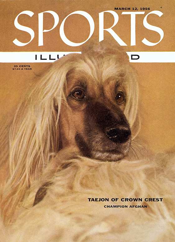 42729 - TOC Cover Image