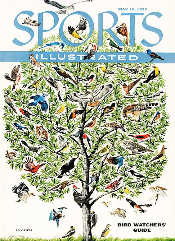 42775 - TOC Cover Image