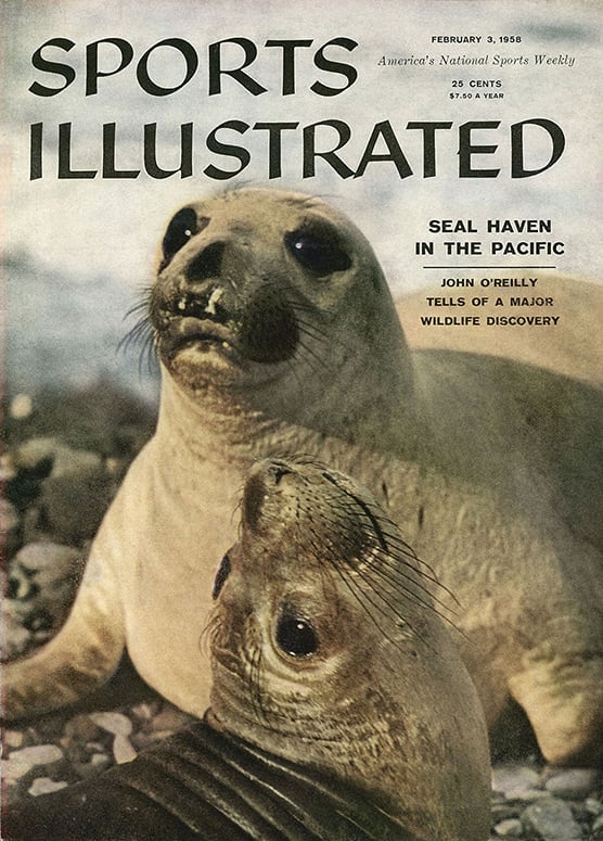 41610 - TOC Cover Image