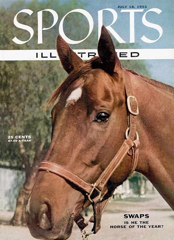 42666 - TOC Cover Image