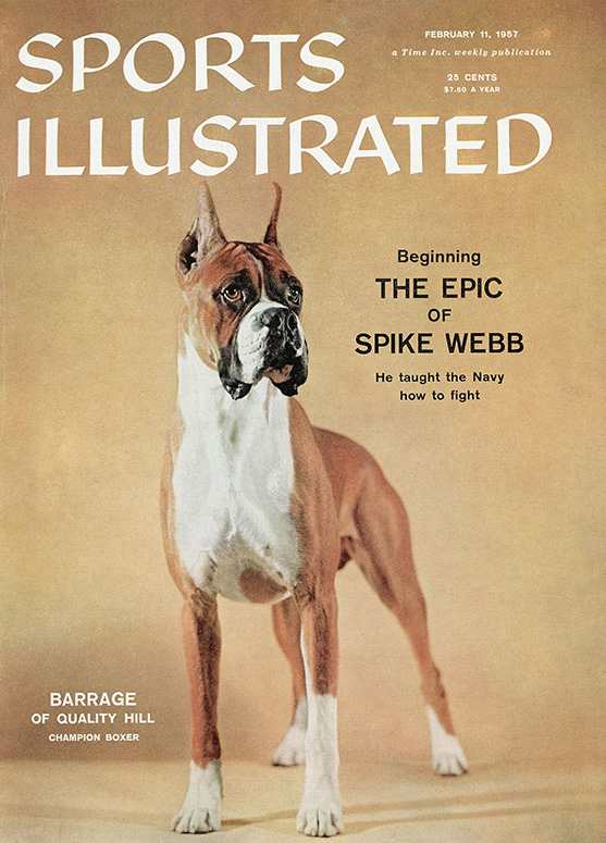 42529 - TOC Cover Image