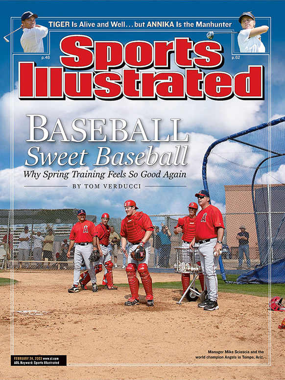 703026 - TOC Cover Image