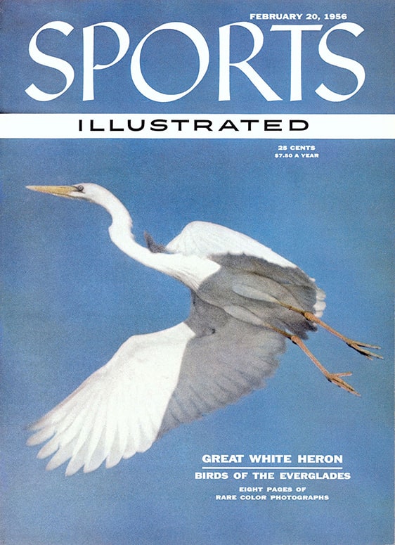 42727 - TOC Cover Image