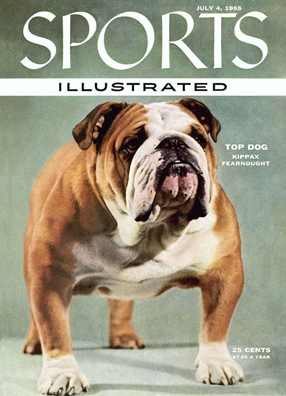 42665 - TOC Cover Image