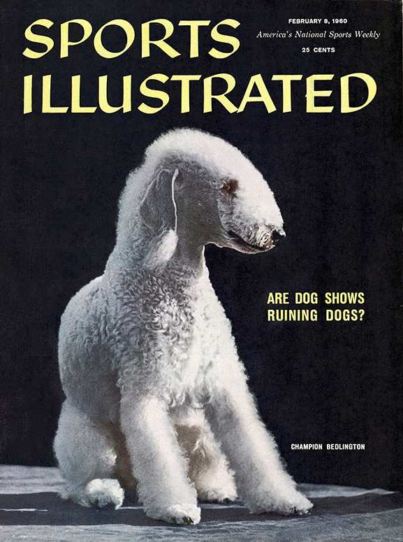 41901 - TOC Cover Image