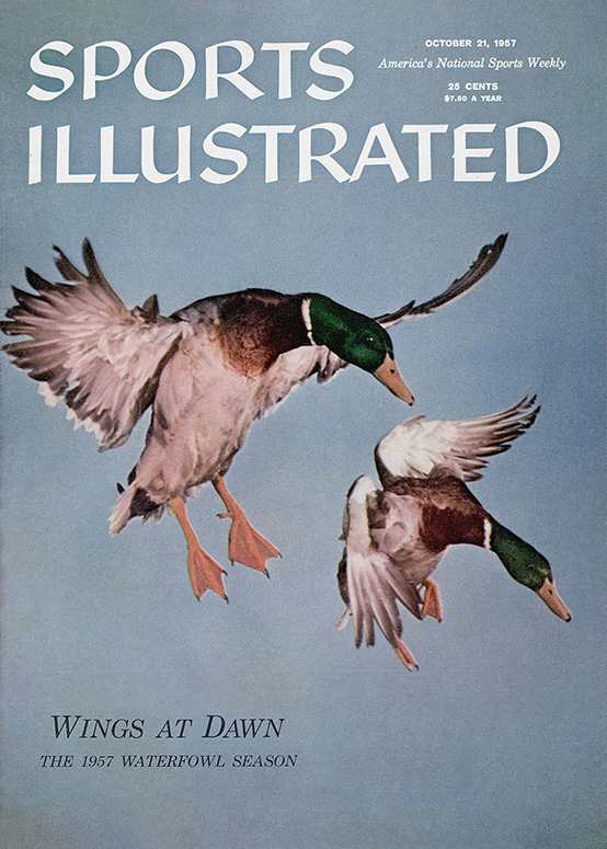 42776 - TOC Cover Image