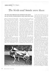 ORIGINAL LAYOUT