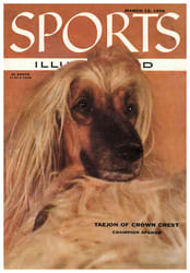 ORIGINAL LAYOUT