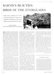 ORIGINAL LAYOUT