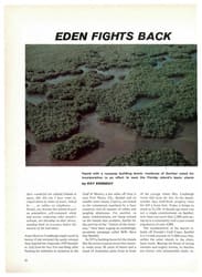 ORIGINAL LAYOUT